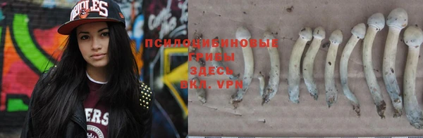 apvp Алексеевка