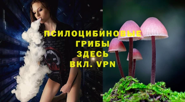 шишки Алзамай