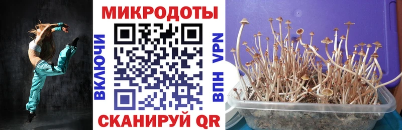 Псилоцибиновые грибы Psilocybe  Нижняя Салда 
